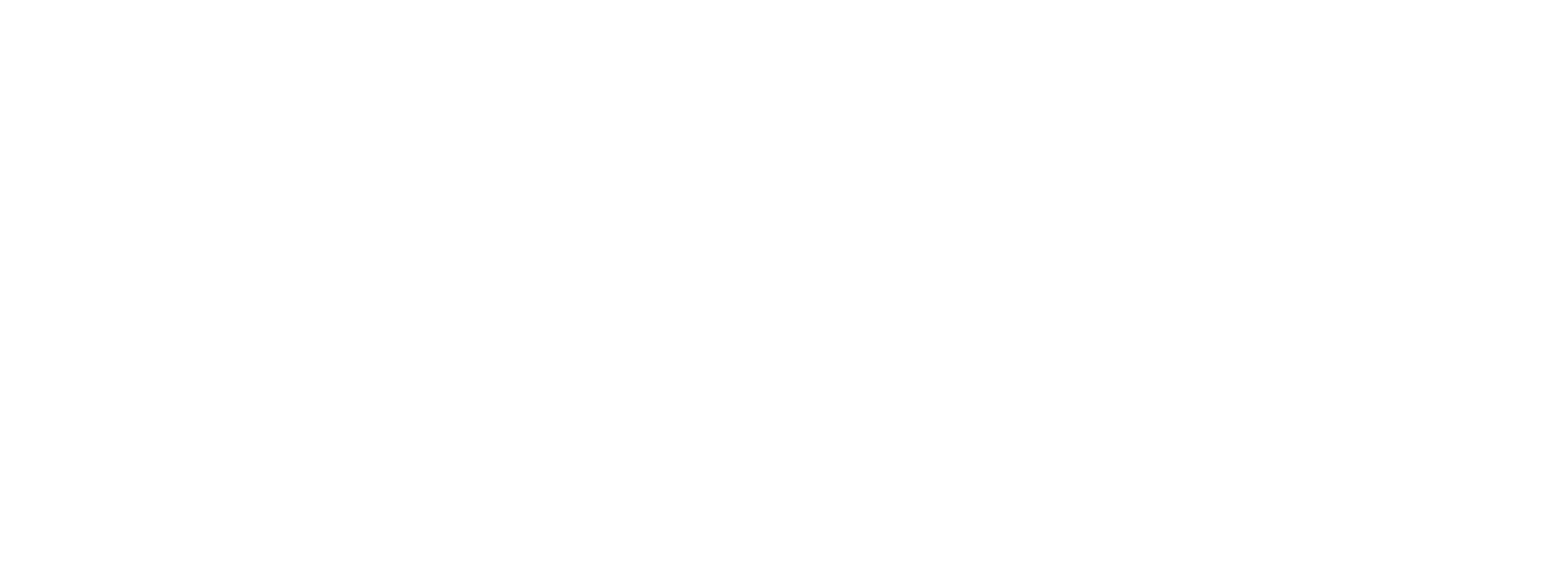 FLXmusic Logo